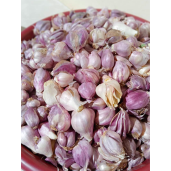 Garlic, Egyptian 100g